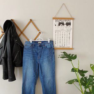 Madewell Perfect Vintage Jean: Comfort Stretch Edition - size 31